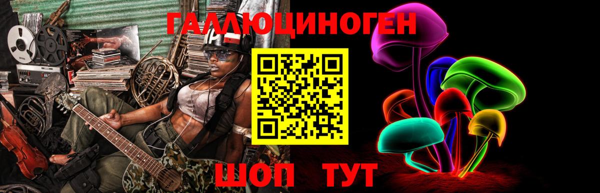 Дербент  Псилоцибиновые грибы MAGIC MUSHROOMS  Вход с VPN 