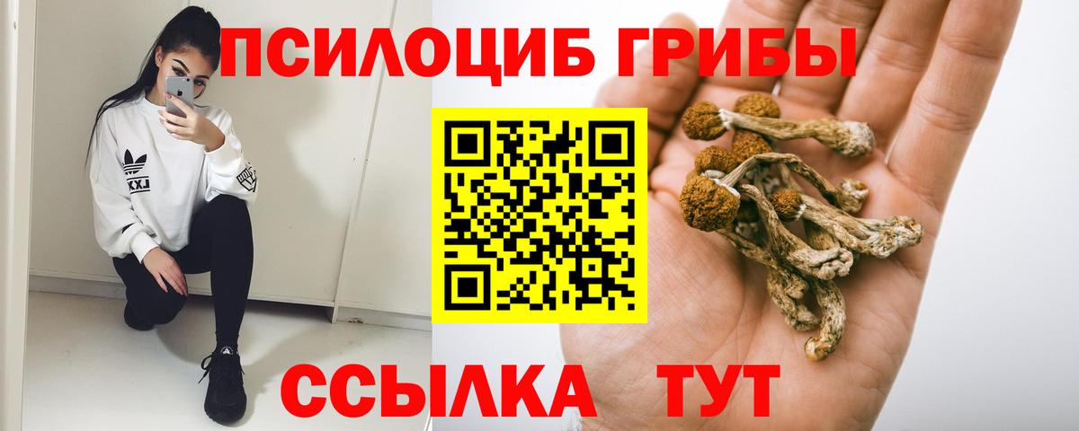 Галлюциногенные грибы GOLDEN TEACHER Дербент
